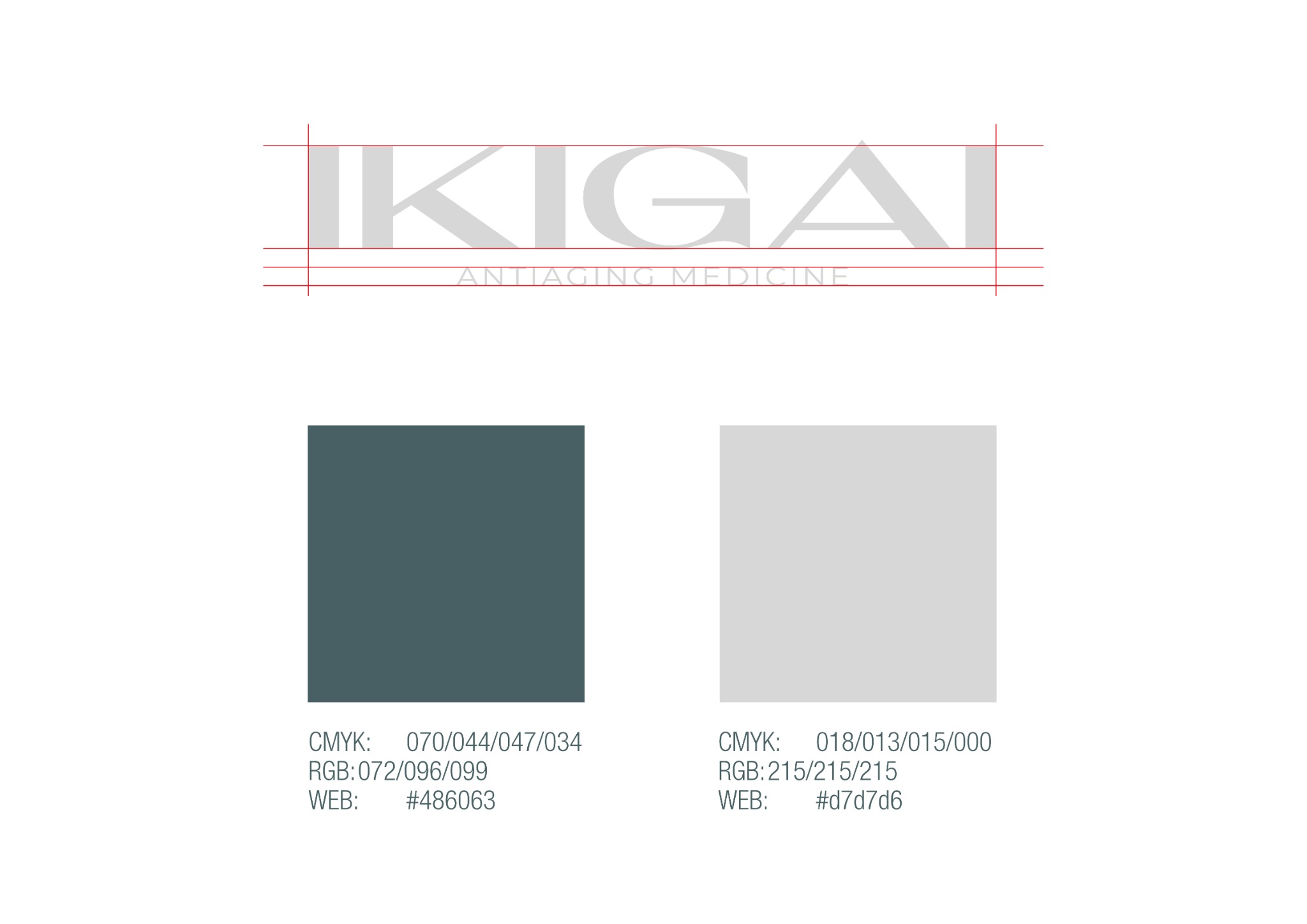 Construcción del logotipo Ikigai y paleta de colores corporativos